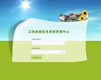 遼陽楊春丨遼陽大乘實(shí)業(yè)網(wǎng)站制作及信息系統(tǒng)運(yùn)行維護(hù)服務(wù)項(xiàng)目需求分享